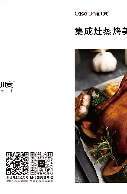 casdon凯度JJZT-B2S8-T2E JJZY-B2S8-T2E